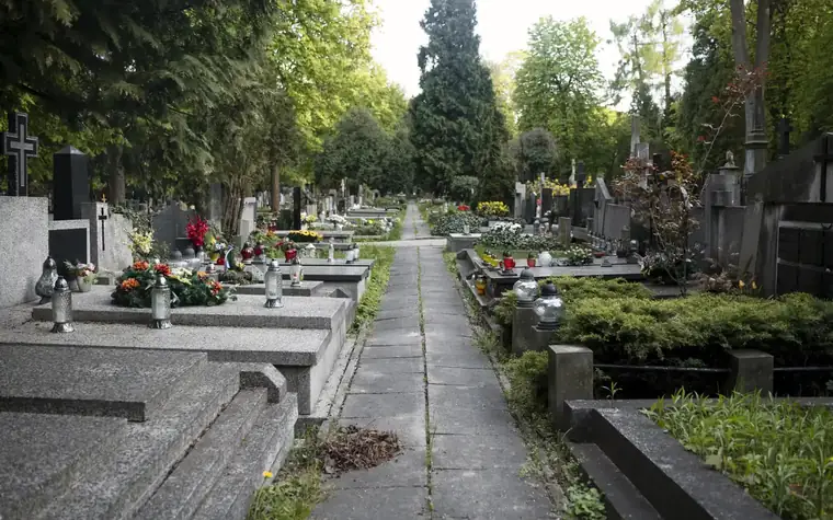 Grabreihen auf einem Friedhof