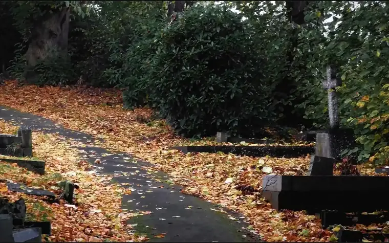 Friedhofsweg im Herbst mit farbigem Laub