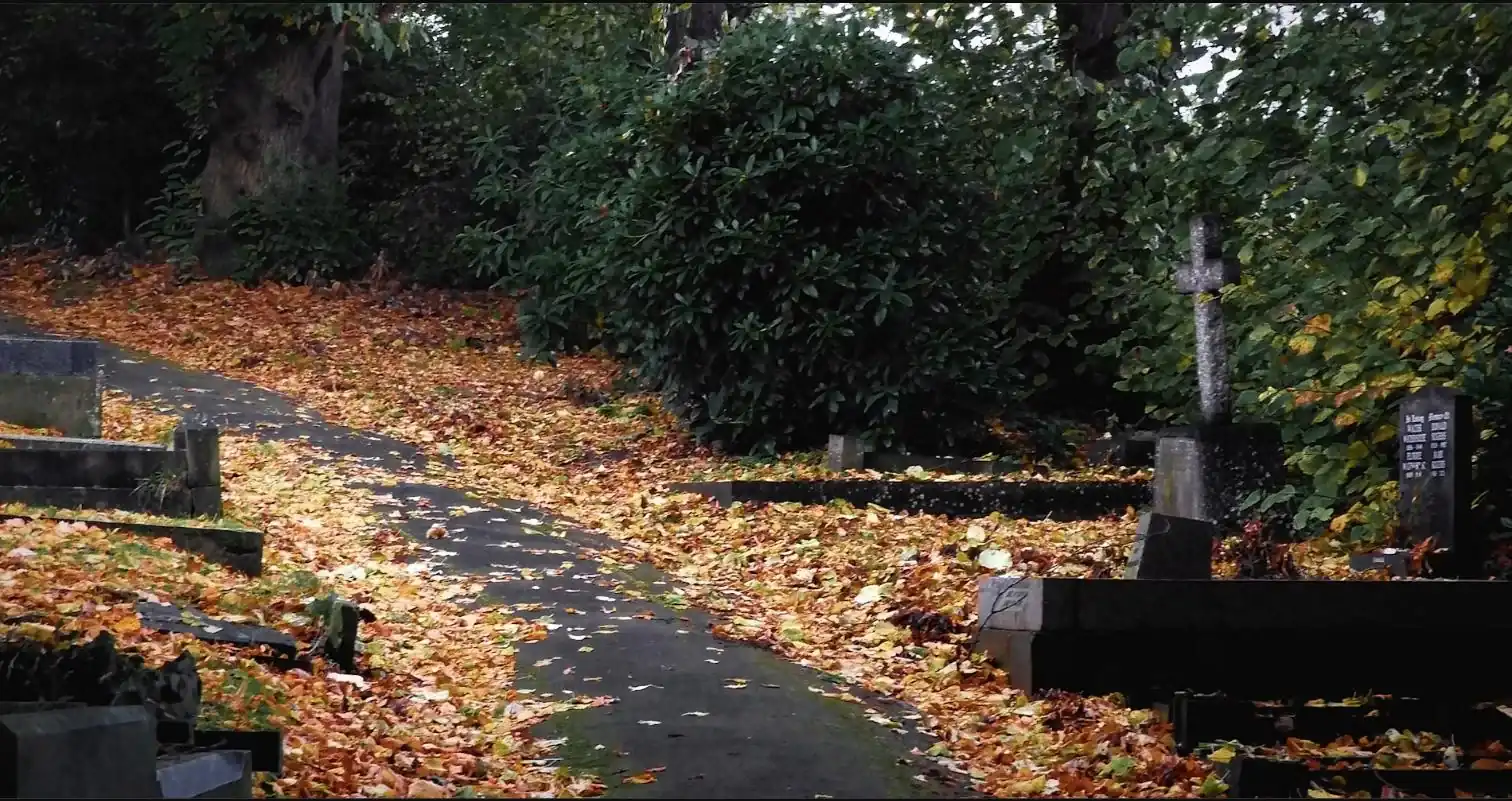 Friedhofsweg im Herbst mit farbigem Laub