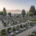 Exhumation und Bestattung in der Schweiz1