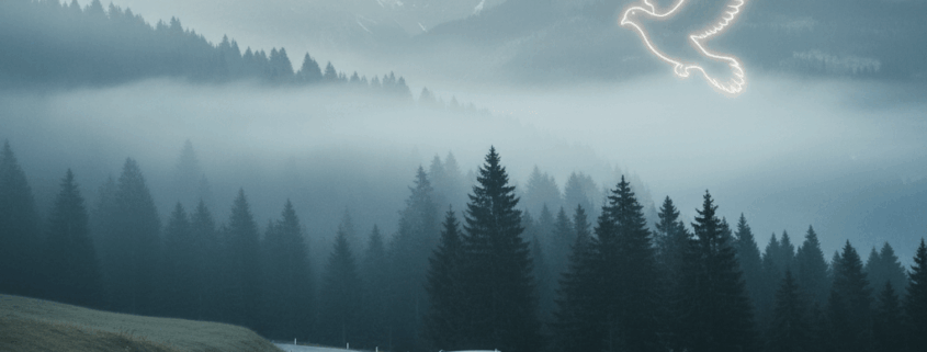 Inlandüberführung und religiöse Rituale